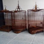 Sangkar motif murai buah buahan Cara membuat sangkar murai batu
