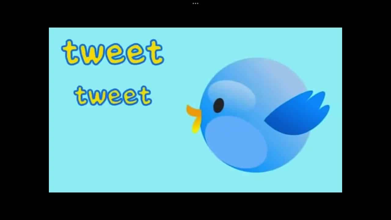 Cit cit cuit burung bernyanyi