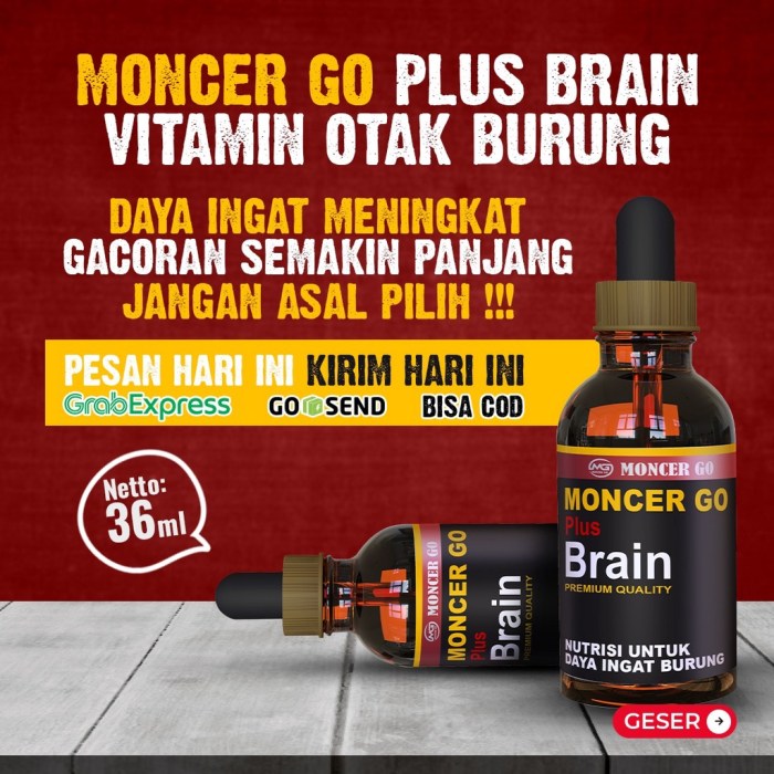 Ciri Khas Murai Batu Jawa dan Cara Merawatnya Agar Tetap Fit