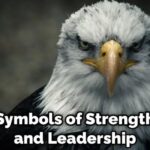 Eagles Spiritual Meaning, Symbolism and Totem | Explained (2025) Mitos Burung Elang, Simbol Keberanian dan Kekuatan